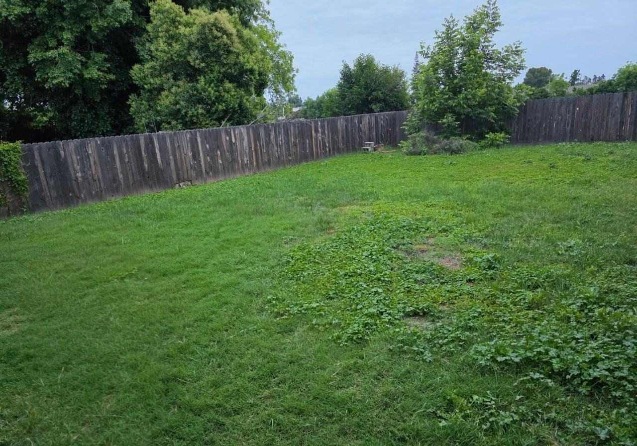 1382 Bancroft Ave - Photo 3 of 3