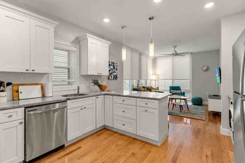 1 Bed / 1 Bath Apartment in South Boston - Photo 5 of 20