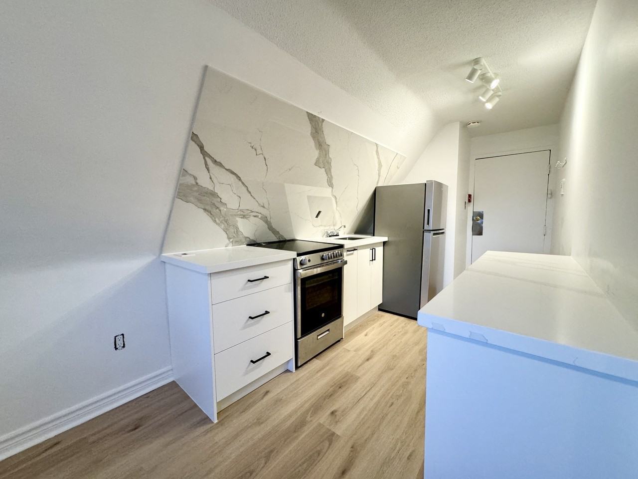 57 Cowan Ave #401 - Photo 4 of 11