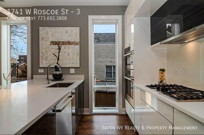 1741 W Roscoe St #3 - Photo 4 of 16