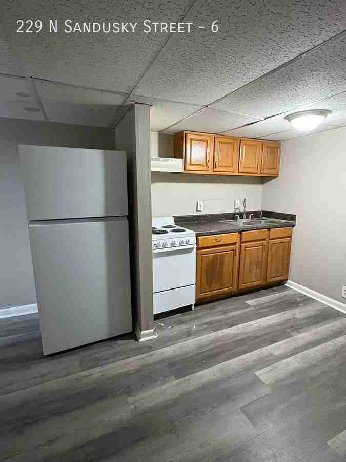 229 N Sandusky St #6 - Photo 3 of 16