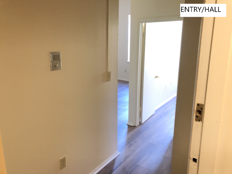 810 Saint Paul St #204 - Photo 2 of 13