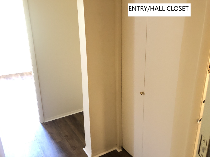 810 Saint Paul St #204 - Photo 3 of 13