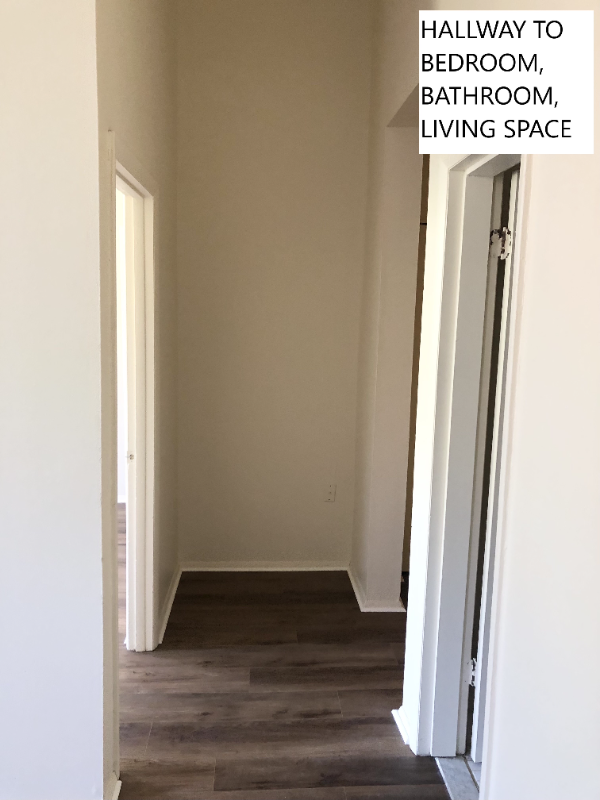 810 Saint Paul St #204 - Photo 4 of 13