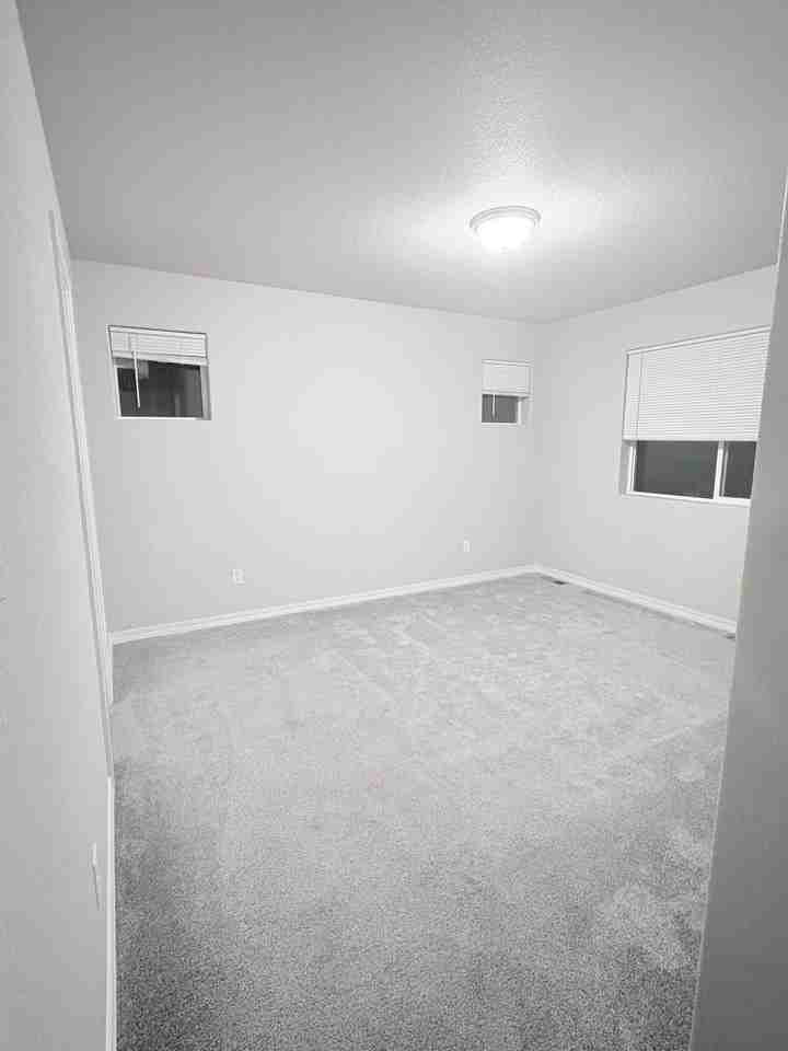 4159 Samaritan Loop - Photo 4 of 12