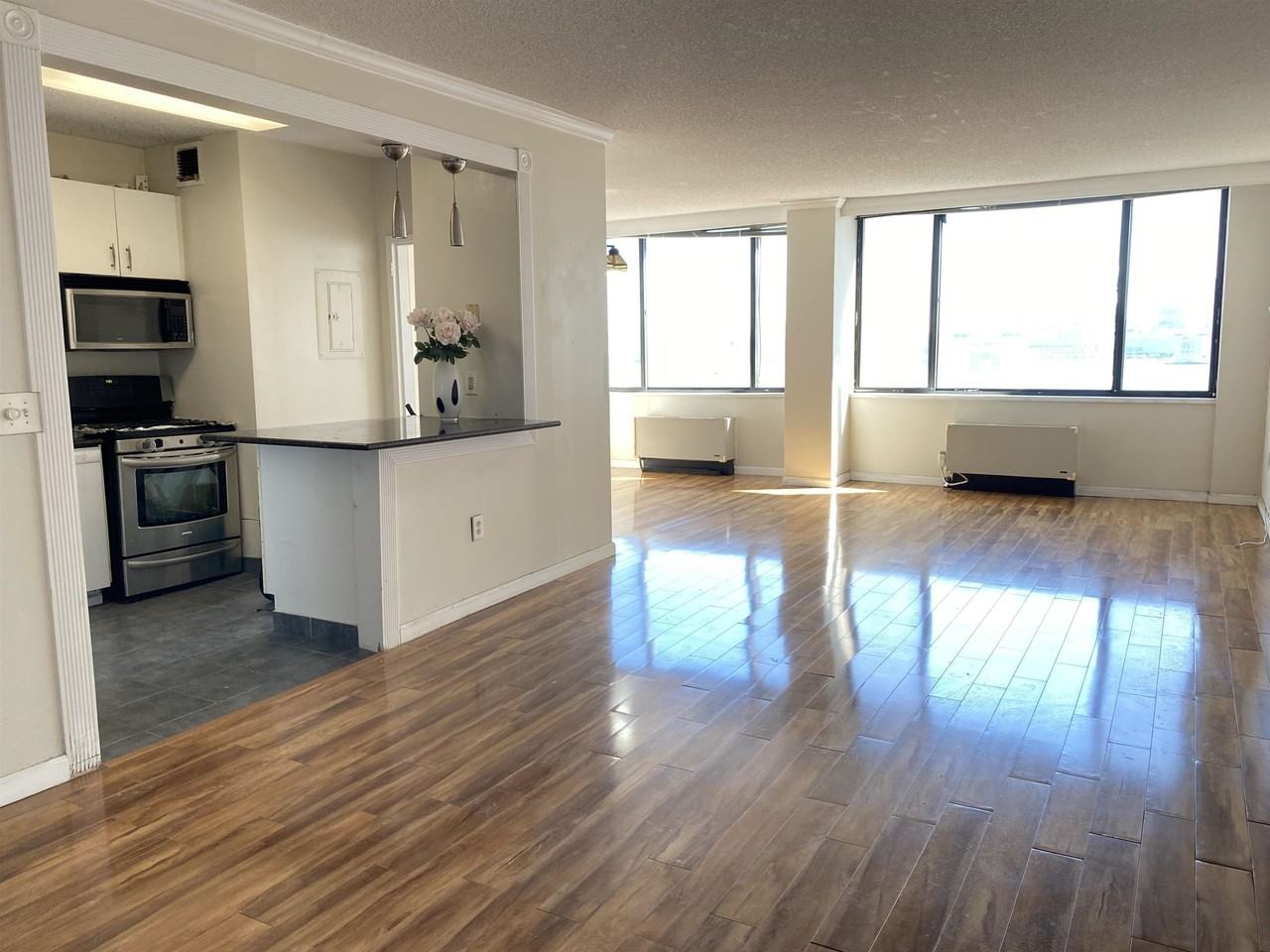 45 River Dr S #1402 - Photo 5 of 27