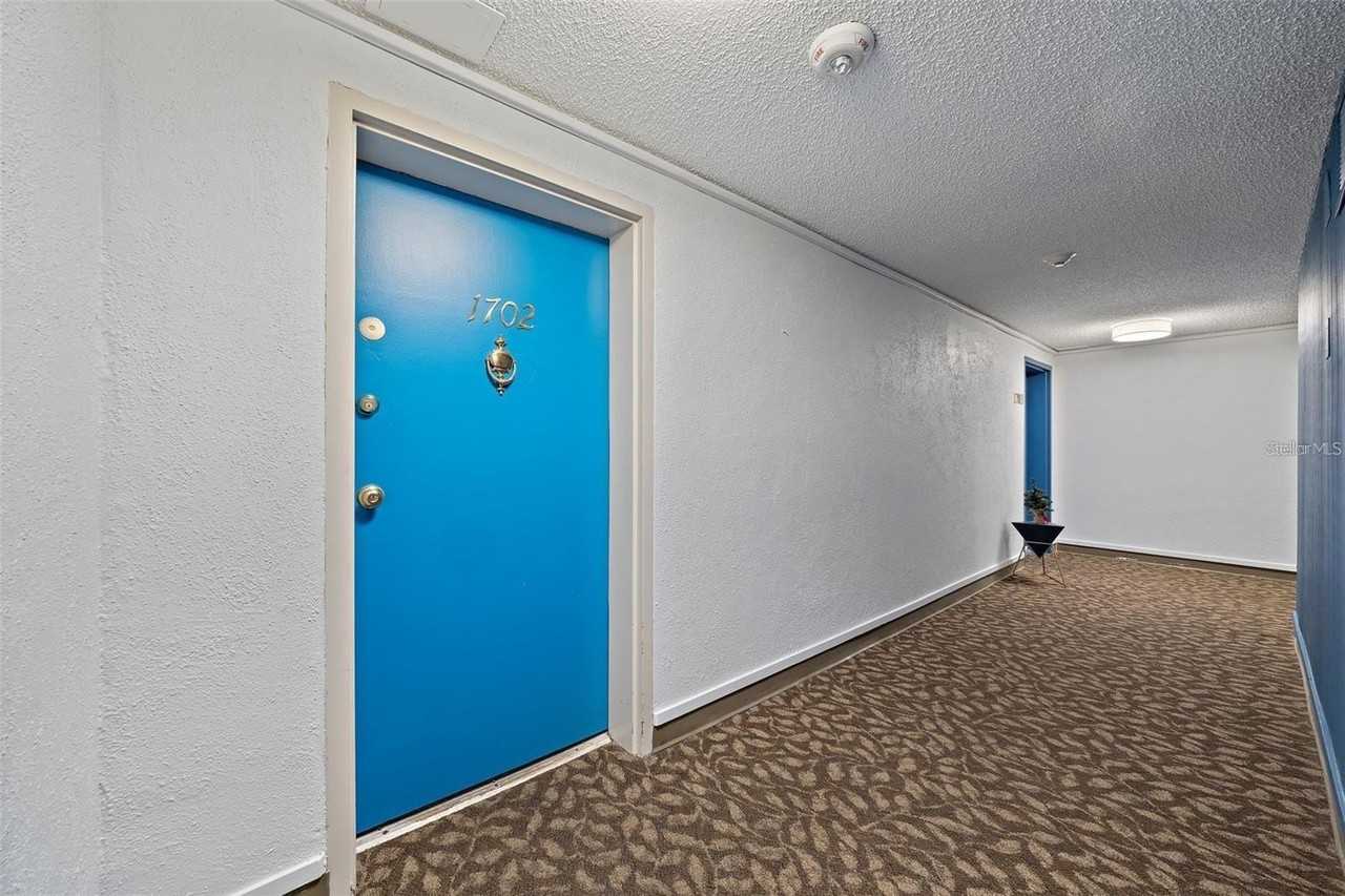4141 Bayshore Blvd #1702 - Photo 2 of 29