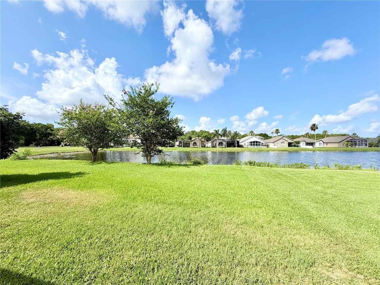14606 Coral Berry Dr - Photo 6 of 36