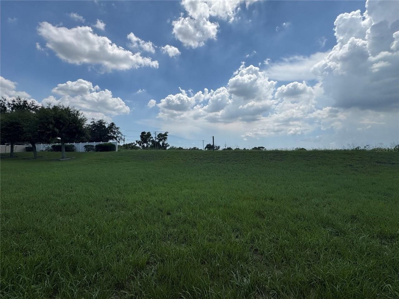 317 Down Pine Dr - Photo 4 of 36