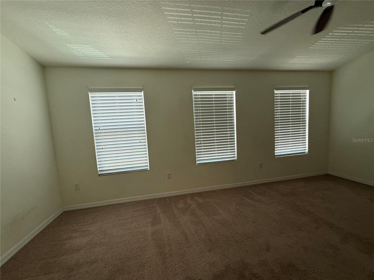 6843 40th Ln N - Photo 6 of 18