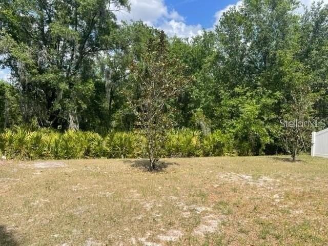 833 Wiltonway Dr - Photo 3 of 29