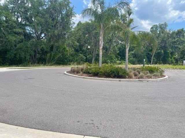 833 Wiltonway Dr - Photo 4 of 29