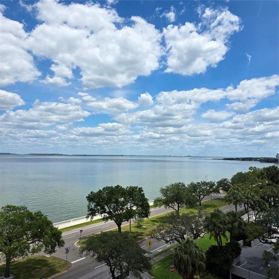 4015 Bayshore Blvd #7F - Photo 2 of 10