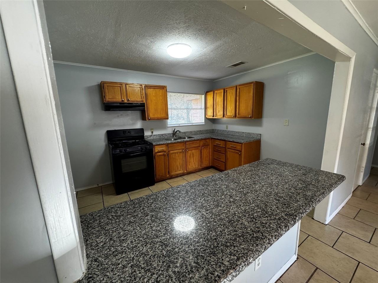 1309 Ann Arbor Dr - Photo 4 of 8