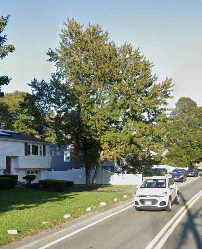 704 N Cary St - Photo 3 of 3