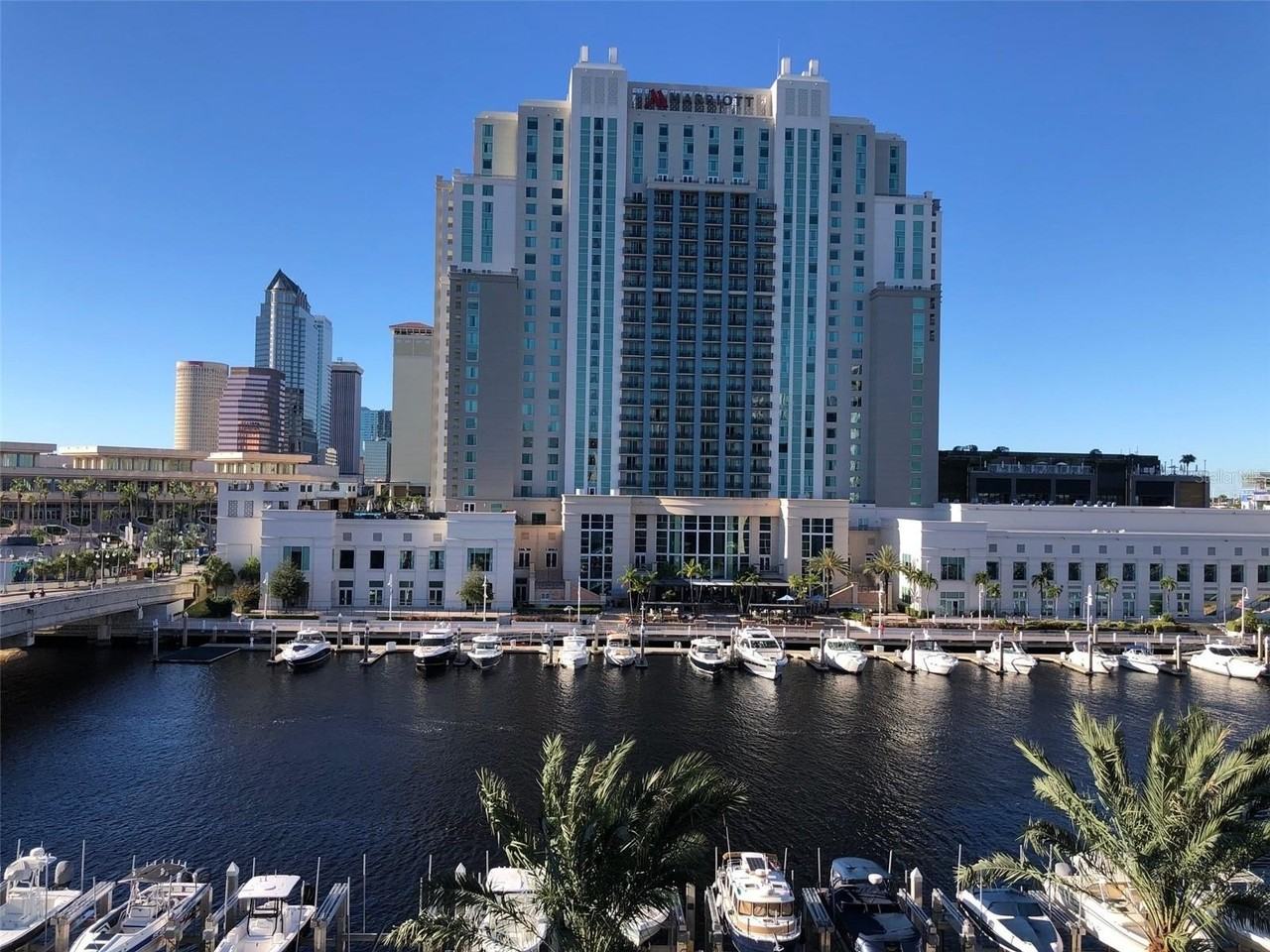 700 S Harbour Island Blvd #523