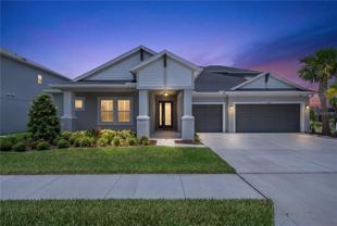 33875 Castaway Loop - Photo 1 of 1