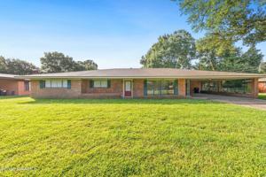 featured image of 223 Stephanie Ave