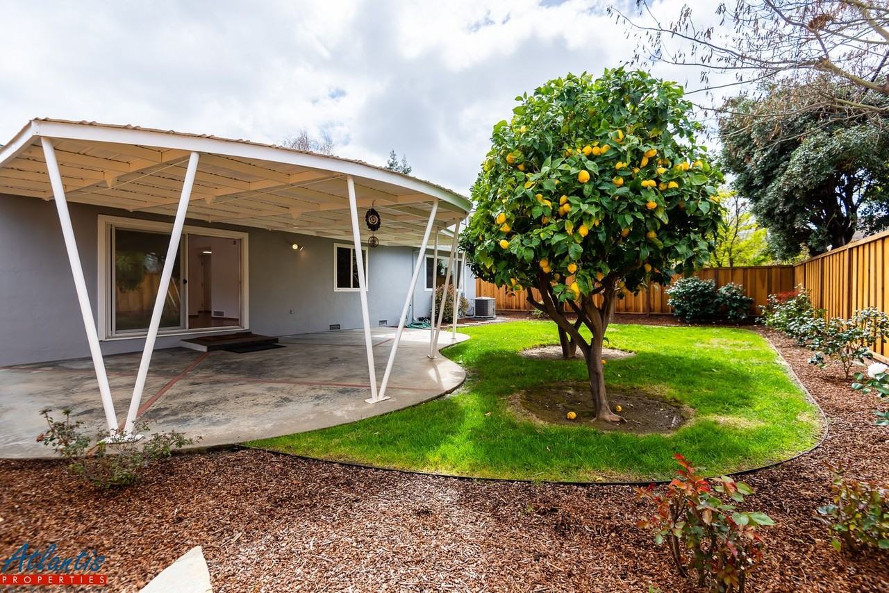 807 Mulberry Ln - Photo 7 of 19
