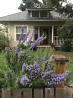 featured image of 26 Cottage St #1