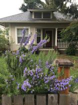 26 Cottage St #1 - Photo 1 of 1