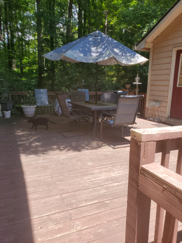 59 Woodland Rd Sw - Photo 7 of 13