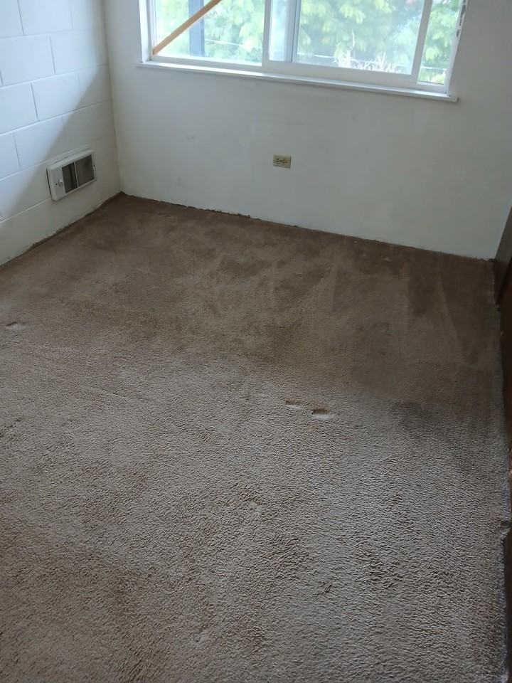 1051 S 4th Ave #37 - Photo 3 of 5