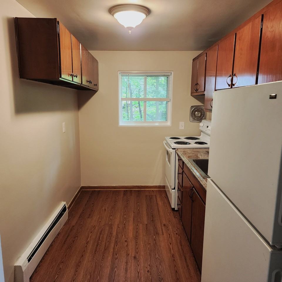 14 Mount Pleasant St #12 - Photo 4 of 5
