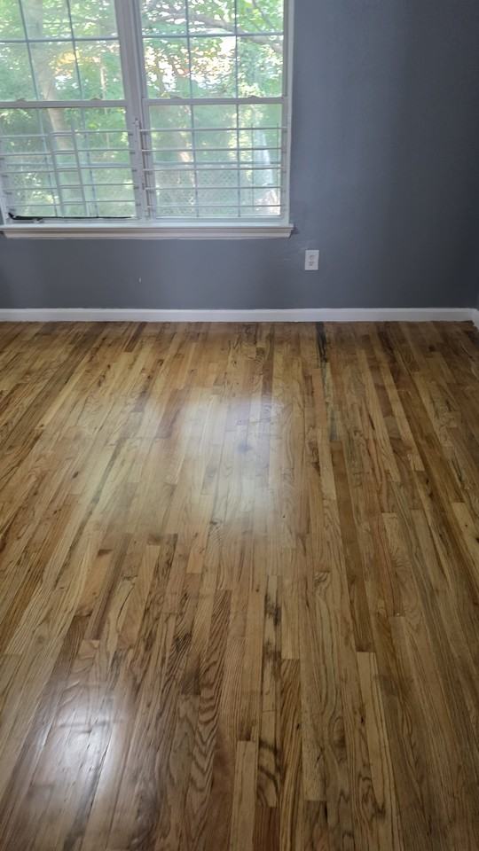135 Seymour Ave #NA - Photo 2 of 12