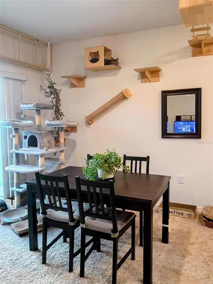 409 Corso Loop - Photo 4 of 17