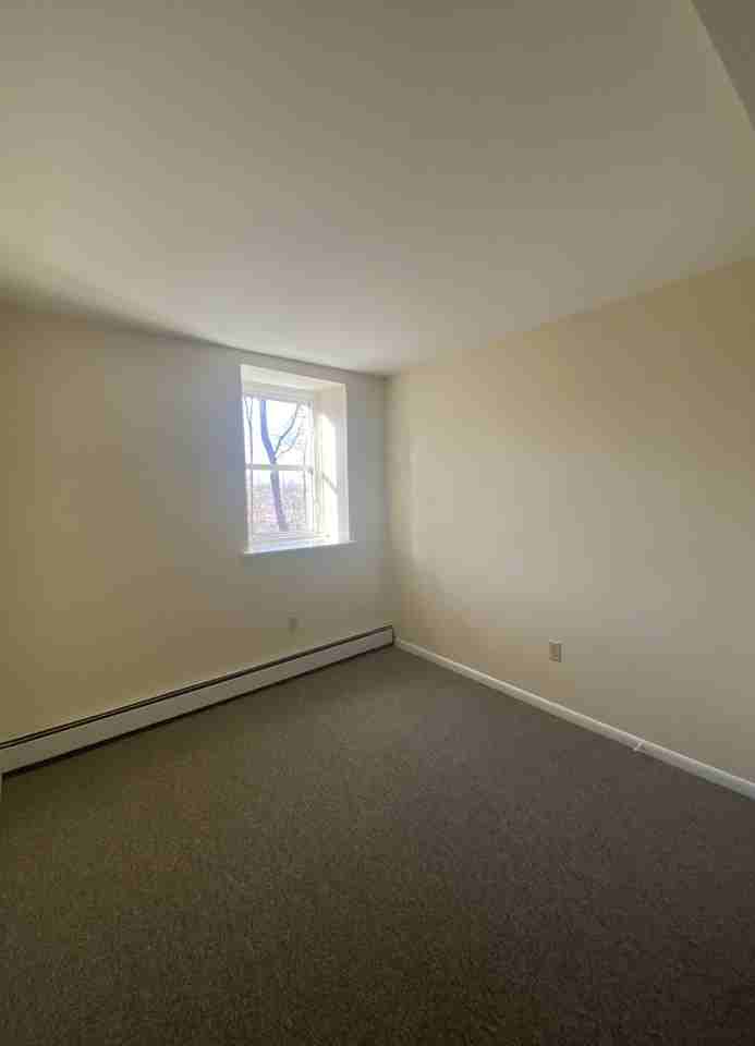 426 Colchester Ave #6 - Photo 7 of 18