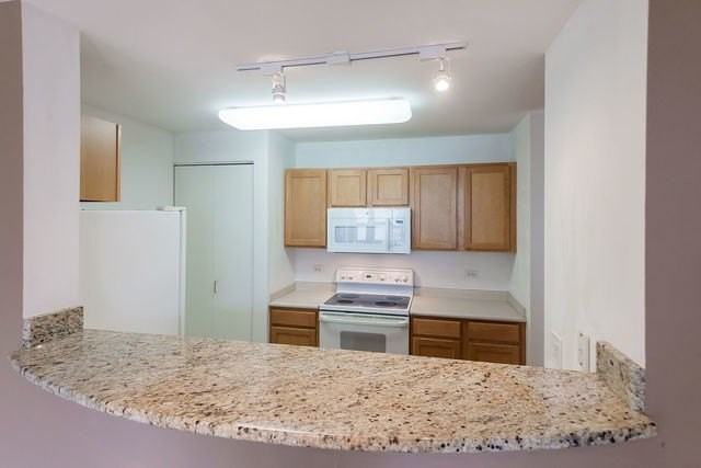 345 N La Salle Dr #2004 - Photo 6 of 11