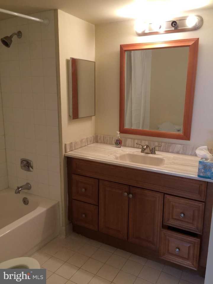 5505 Seminary Rd #1319N - Photo 2 of 3