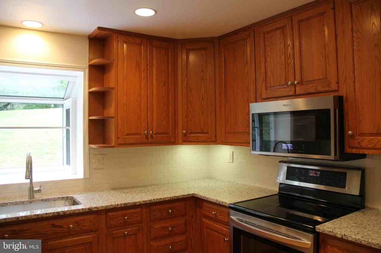 1103 Delf Dr - Photo 3 of 19