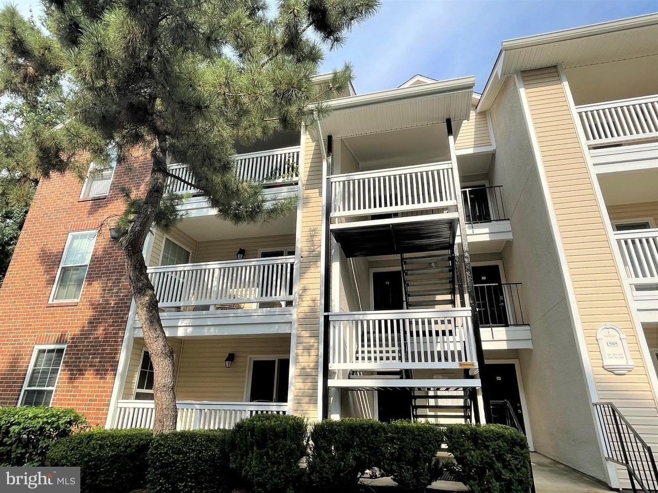 1505 Lincoln Way #101