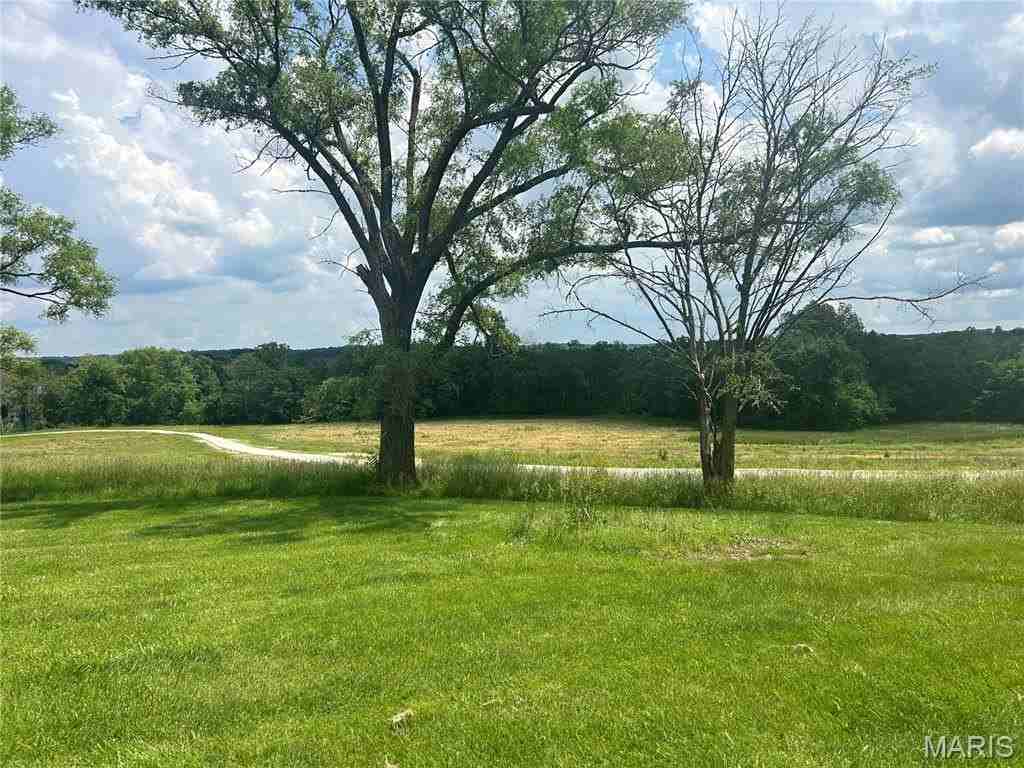 5370 Highway 100 - Photo 3 of 44