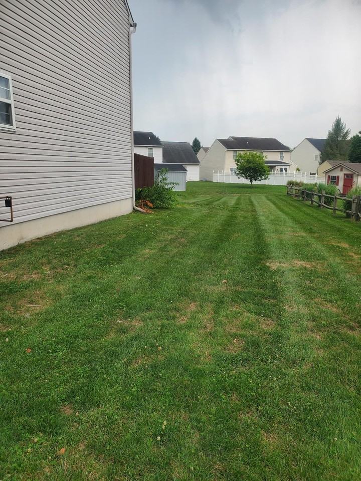 667 Walnut Tree Dr #1 - Photo 3 of 20