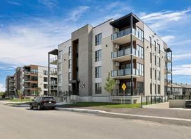 featured image of 250 Rue Nancy-Elliott