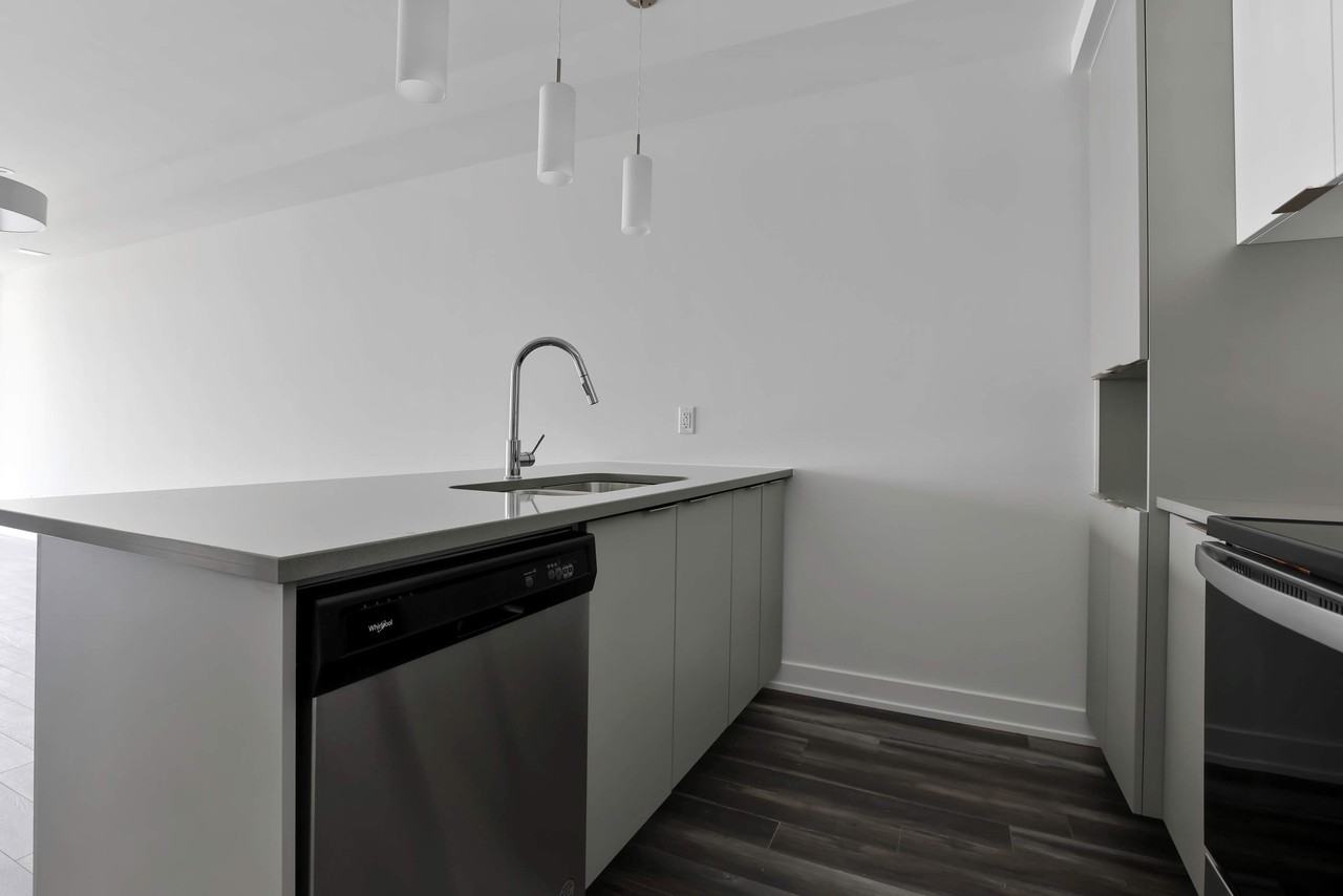 250 Rue Nancy-Elliott — photo 3