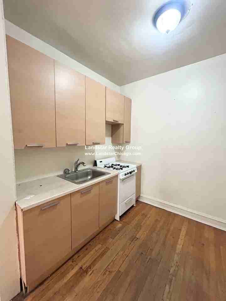 828 S Austin Blvd #1K - Photo 7 of 13
