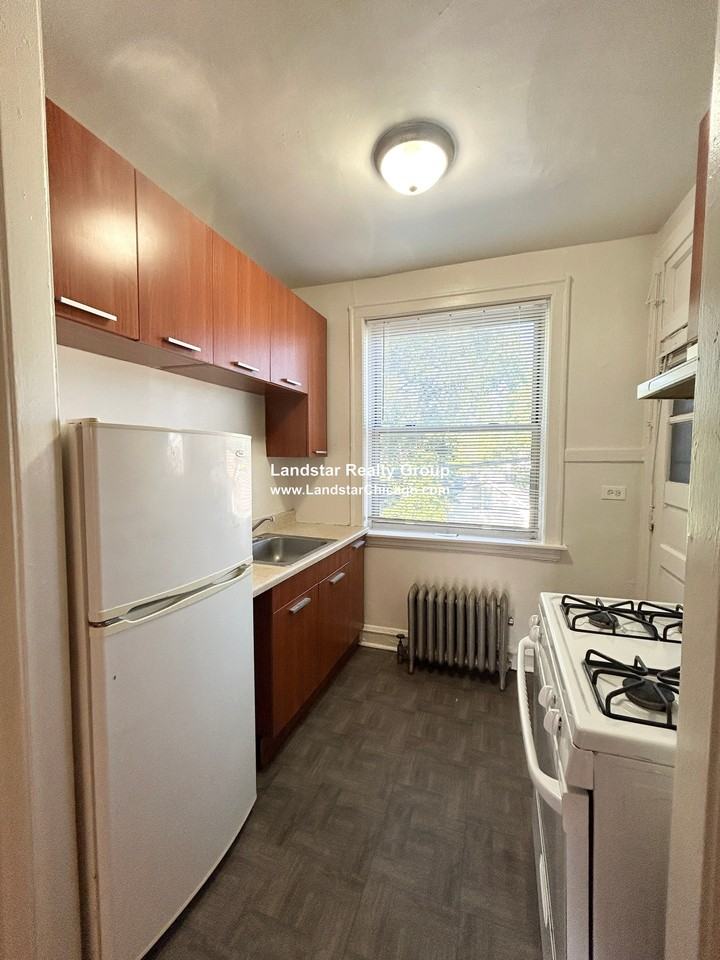 826 S Austin Blvd #2N - Photo 5 of 11