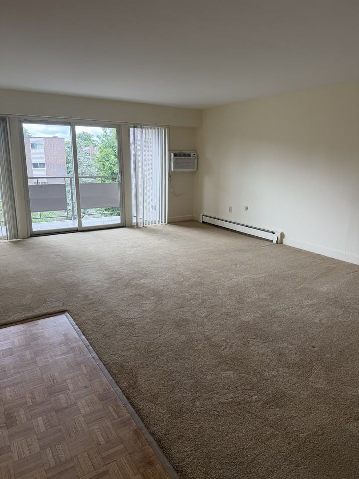 Main St #4L - Photo 3 of 21