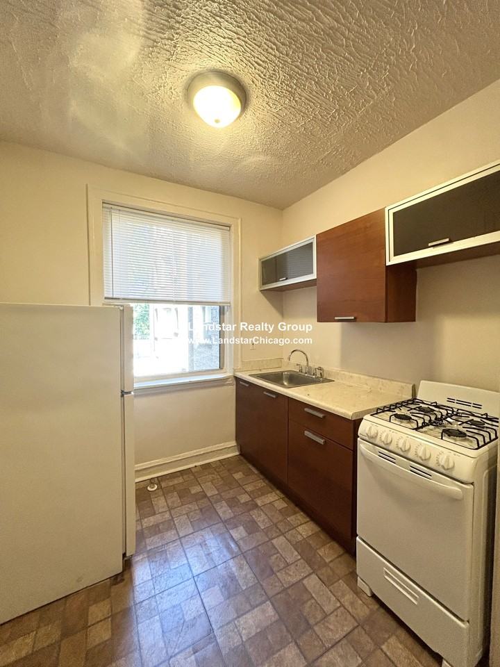 822 South Austin Boulevard #1F - Photo 4 of 13