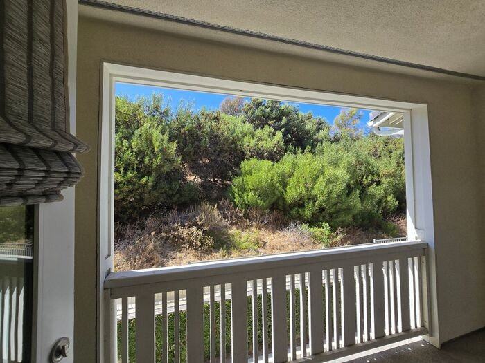 1110 Hibiscus Way - Photo 3 of 42