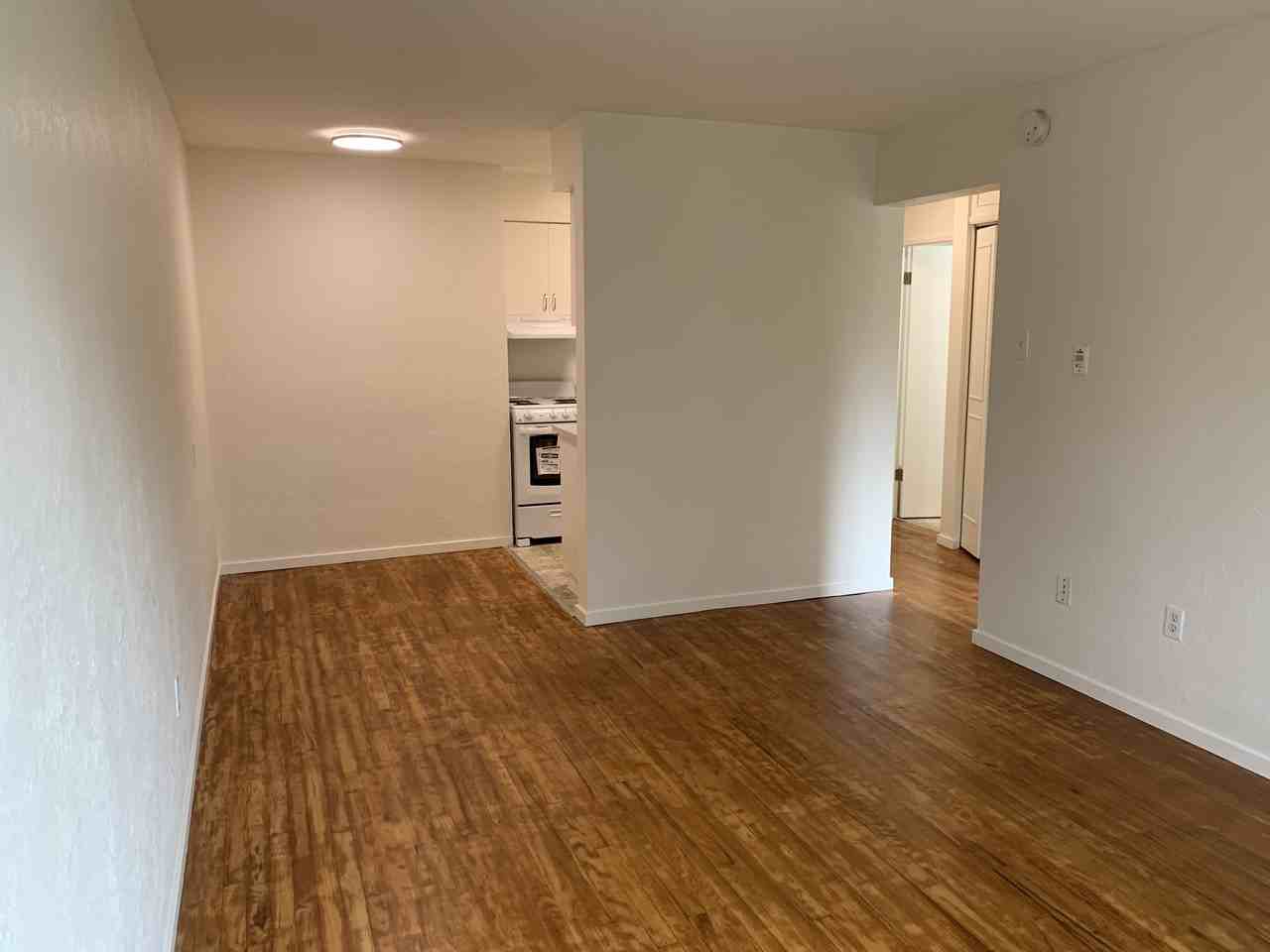 915 Cook Street - Photo 2 of 14