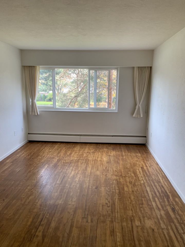 915 Cook Street - Photo 3 of 14
