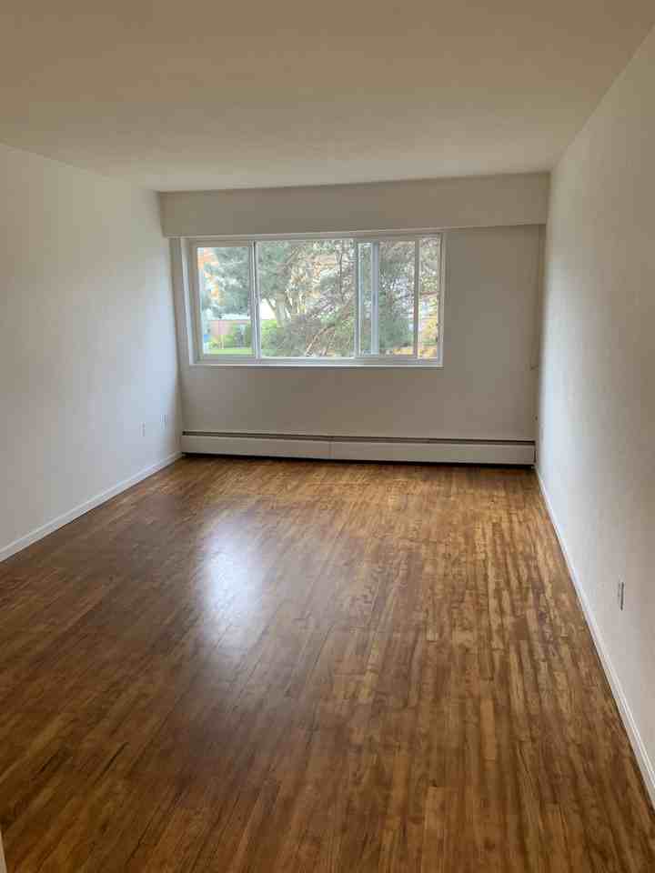 915 Cook Street - Photo 4 of 14