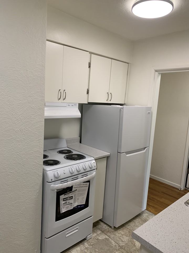 915 Cook Street - Photo 6 of 14
