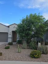 38221 W San Ildefanso Ave #NA - Photo 1 of 1