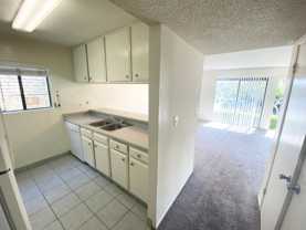 33941 Violet Lantern St #B - Photo 1 of 1